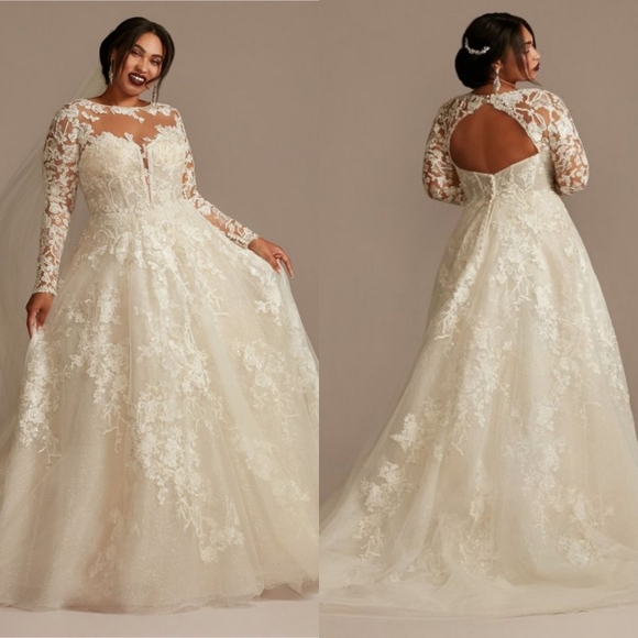 Oleg Cassini Lace Illusion Long Sleeve Plus Size Wedding Dress 8SLCWG833 24W - Picture 1 of 12
